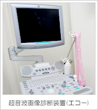 超音波画像診断装置（エコー）